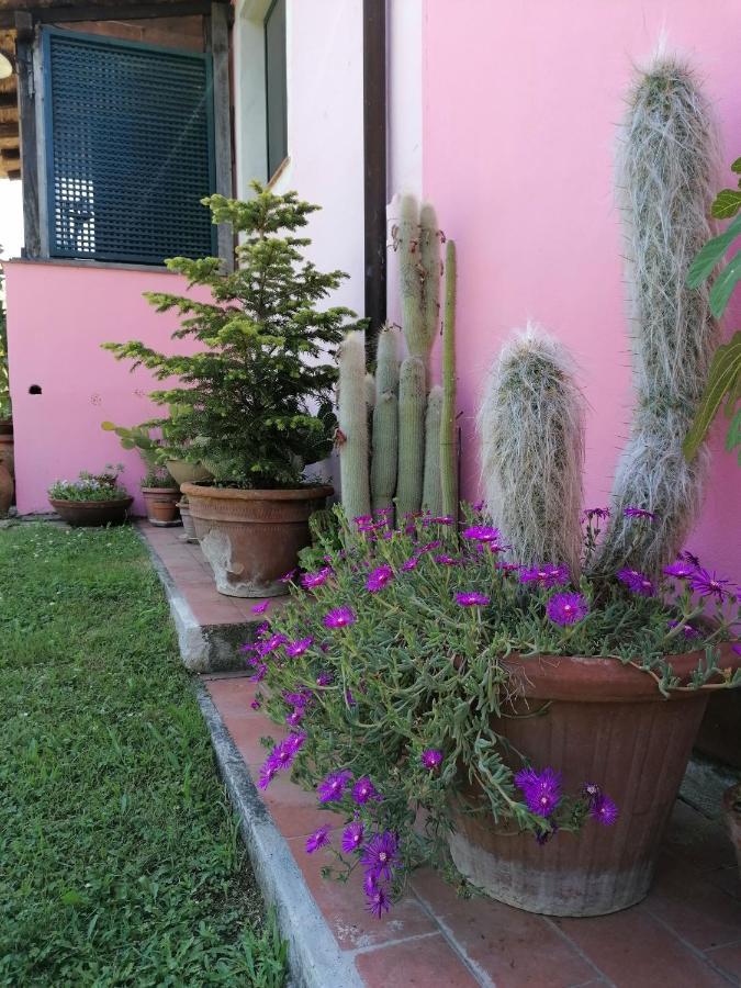 Agriturismo Campolungo Sant'Ermo المظهر الخارجي الصورة